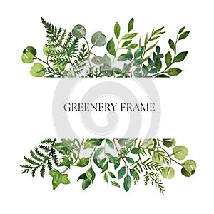 Watercolor botanical frame with wild herbs and green leaves on white background. Modern greenery and foliage frame. Floral wedding photo