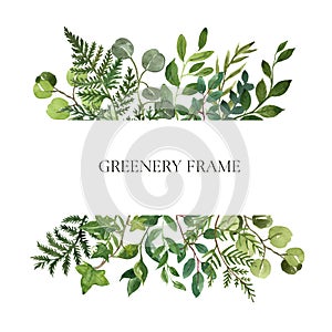 Watercolor botanical frame with wild herbs and green leaves on white background. Modern greenery and foliage frame. Floral wedding