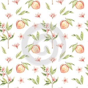 Watercolor botanical illustration. Botany seamless pattern with Peach fruit, pink flowers and leaves. Floral blossom . Perfect for