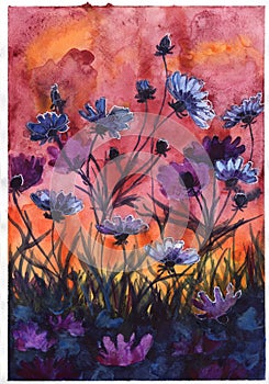 Watercolor illustration sunset evening flowers orange yellow blue purple red colors