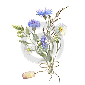 Watercolor botanical illustration, wild flowers bouquet with blue Cornflower herb and chamomile and with tag, isolated