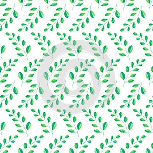 Watercolor botanical leaves seamless pattern. Green branches on white