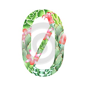 Watercolor botanical number 0 in retro style with succulents, flowers, kalanchoe and sweetheart