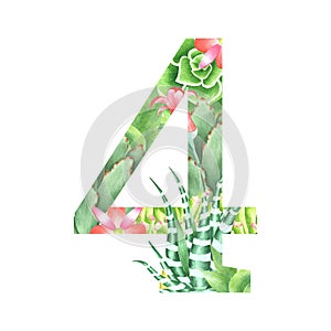 Watercolor botanical number 4 in retro style with succulents, flowers, kalanchoe and sweetheart