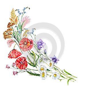 Watercolor bouquet flowers of field. Corner on a white background.