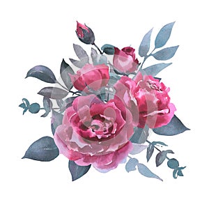 Watercolor bouquet of pink rose, collection garden flowers, leaves, illustration isolated on white background