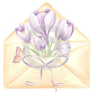 Watercolor bouquet of purple crocus flowers in an envelope with a bow and butterfly. Spring isolated hand drawn