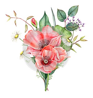 Watercolor bouquet of red poppy, chamomile and greenery isolated on white background. Hand painted illustration.