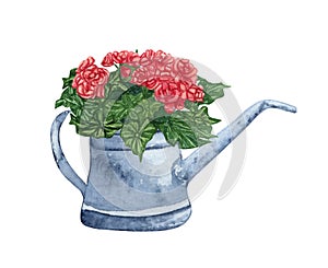 Watercolor bouquet in a rustic watering can. Handrawn garden flowers in a pot