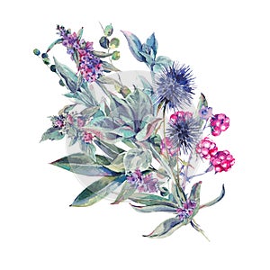 Watercolor bouquet of thistles, stachys and wildflowers