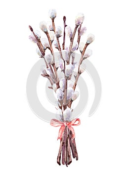 Watercolor bouquet of willow branches.