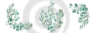 Watercolor bouquets set. Eucalyptus, pistachio and olive branches. Hand drawn botanical illustration isolated on white