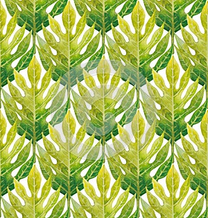 Watercolor breadfruit leaves pattern photo