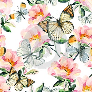 Watercolor briar flowers and butterfly seamless pattern. Dog Rose branches in vintage style