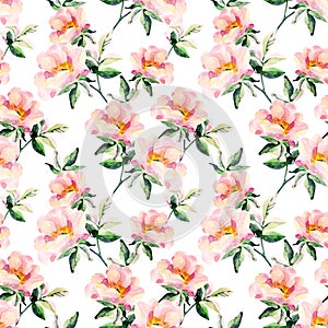 Watercolor briar flowers seamless pattern. Dog Rose branches