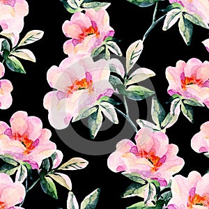 Watercolor briar flowers seamless pattern. Dog Rose branches