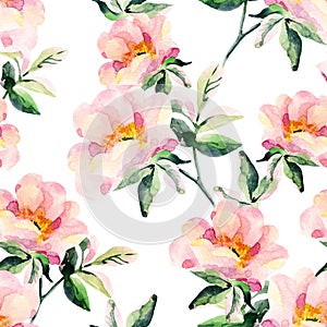 Watercolor briar flowers seamless pattern. Dog Rose branches