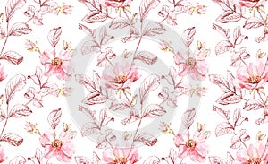 Watercolor Briar flowers seamless pattern. Rose leaves, buds and ink leaves. Botanic hand drawn illustration for wedding