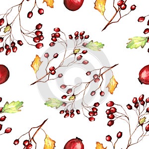 Watercolor Bright Autumn Paterrn with branches of red wild rose berries