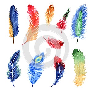 Watercolor bright feathers isolated on white background