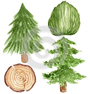 Watercolor bright natural collection, spruce trees, tree cut, bush. The elements are isolated on a white background.
