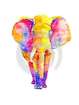 Watercolor bright rainbow neon elephant on a white background isolated. Colorful multicolored big adult of mammal