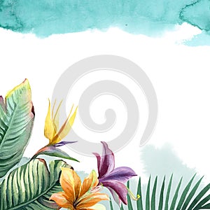 Watercolor bright tropical flowers with green palm leaf with paint splash