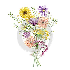 Watercolor bright wild flower bouquet. Arragement composition with meadow bright wildflowers, rose, peony, herbs, leaves, branches