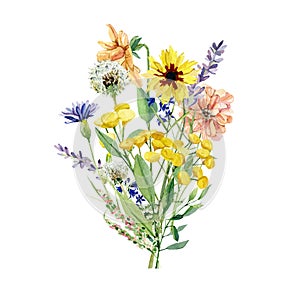 Watercolor bright wild flower bouquet. Arragement composition with meadow wildflowers