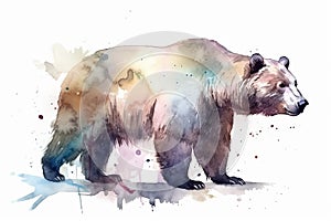 Watercolor brown bear illustration on white background