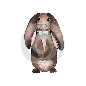 Watercolor brown bunny isolated on white background