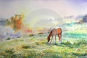 Watercolor brown horse standing in grass in sunset light. Yellow, purple and green background. Holy days of muslim community. Eid