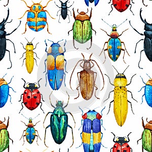 Watercolor bug beetle pattern