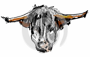 Watercolor bull head sketch symbol 2021 china new year