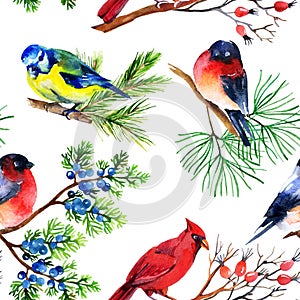 Watercolor bullfinch, titmouse, cardinal and sparrow on branches