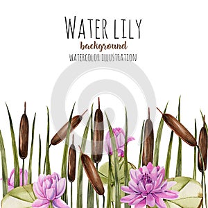 Watercolor bulrush and pink lotus background, greeting card template, artistic design background