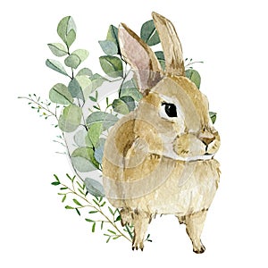 Watercolor bunny in floral bouquet. Hand drawn clipart animal forest, silver dollars and green plants.