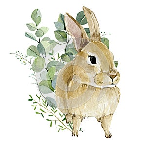 Watercolor bunny in floral bouquet. Hand drawn clipart animal forest, silver dollars and green plants. photo