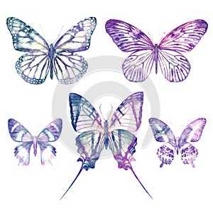 Watercolor butterflies isolated on white background. Big bright set. Abstract colorful illustration collection