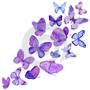 Watercolor butterflies. romantic elements, hand drawn violet butterfly isolated on white background.