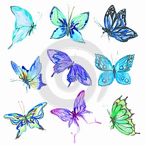 Watercolor butterflies set.