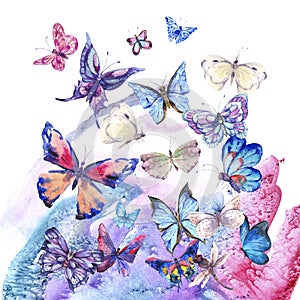 Watercolor butterflies vintage card, Ultraviolet butterfly photo