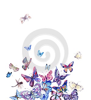 Watercolor butterflies vintage card, Ultraviolet butterfly photo