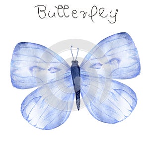 Watercolor Butterfly aquarelle clip art