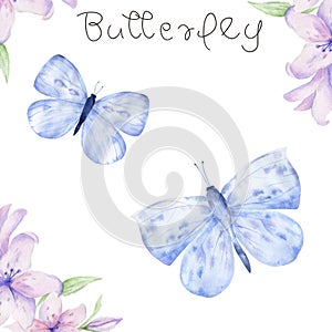 Watercolor Butterfly aquarelle clip art