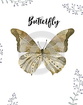 Watercolor Butterfly. Butterfly Aquarelle Aquarelle Butterfly painting clip art beautiful character 11x14 inch greeting card size