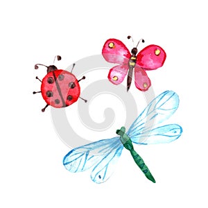 Watercolor butterfly, dragonfly and lady bug on white background.