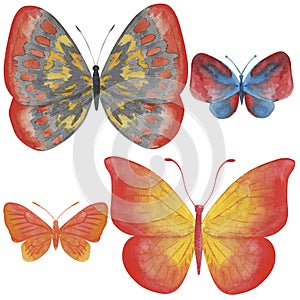 4086 watercolor butterfly, Watercolor illustration, butterflies, set of drawings, isolate on a white background