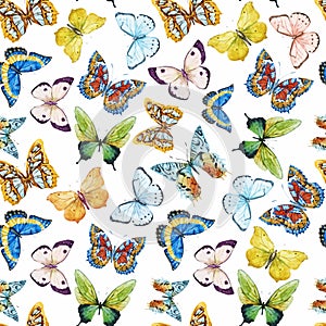 Watercolor butterfly pattern