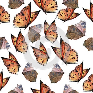 Watercolor butterfly seamless pattern